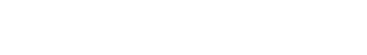 light logo
